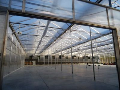 inside-large-scale-greenhouse.jpg