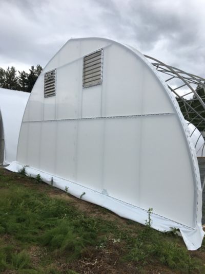 back-of-greenhouse.jpg