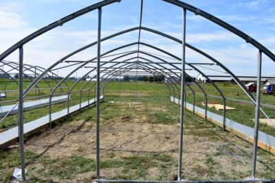 looking-through-greenhouse-frame.jpg