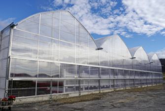 Luminosa (Gutter Connect) Greenhouses