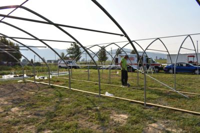 greenhouse-framing.jpg