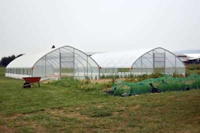 greenhouse-completion.jpg
