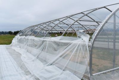 cover-on-greenhouse-frame.jpg