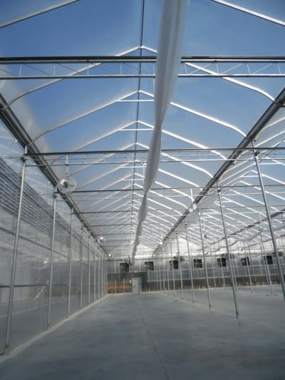 inside-greenhouse-structure.jpg