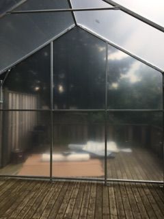 inside-greenhouse.jpeg