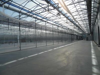 inside-gutter-connected-greenhouse.jpg