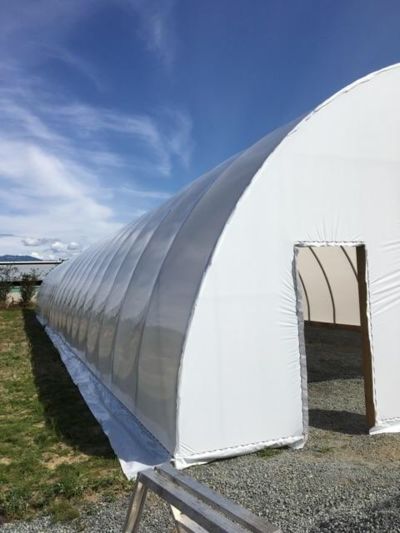 side-of-large-greenhouse.jpg