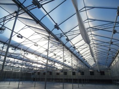 interior-greenhouse-structure.jpg