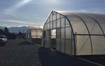 36' Wide Greenhouses