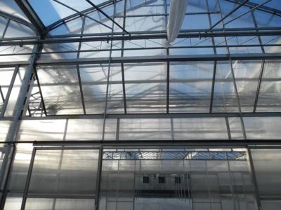 gutter-connected-greenhouse-structure.jpg