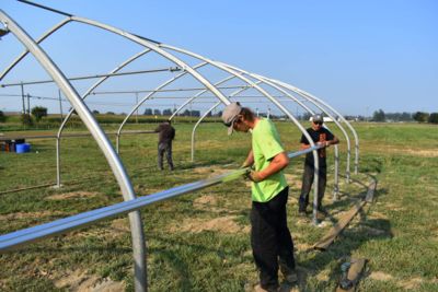 20x30-greenhouse-framing.jpg