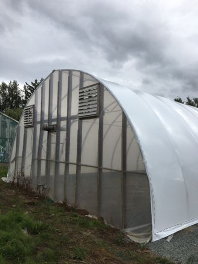 greenhouse-ventilation.jpg