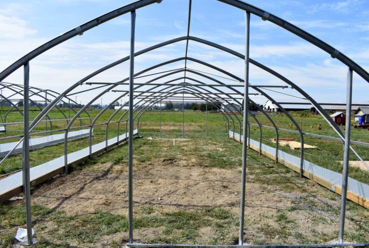 20' Wide Greenhouses