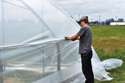 abbotsford-greenhouse-build.jpg