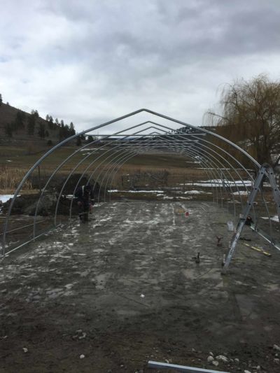 greenhouse-partial-framing-complete.JPG