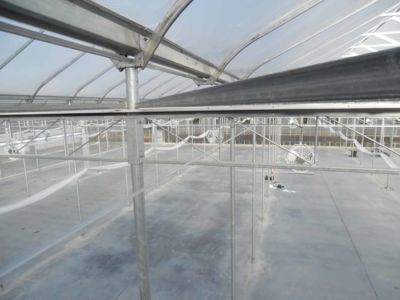 inside-greenhouse-with-fans.jpg