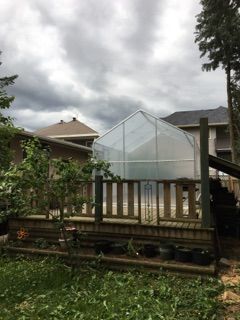 hobby-greenhouse.jpeg