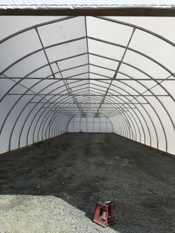 inside-greenhouse.jpg