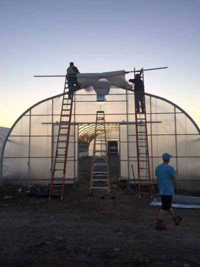 greenhouse-build-Brock.jpg