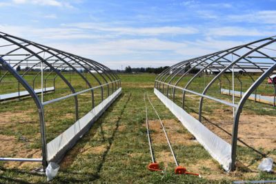 two-greenhouse-structures.jpg
