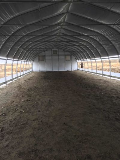 greenhouse-with-dirt-floor.JPG