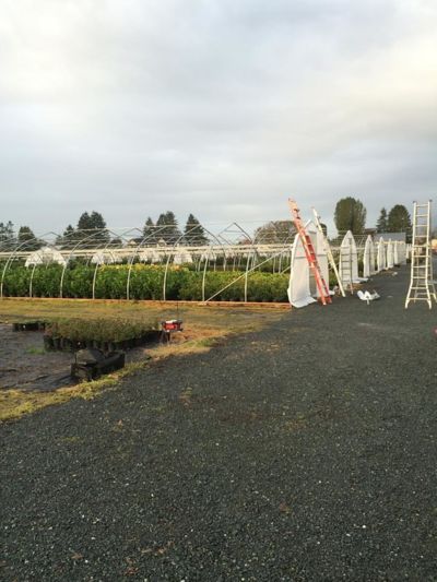 construction-of-greenhouses.jpg