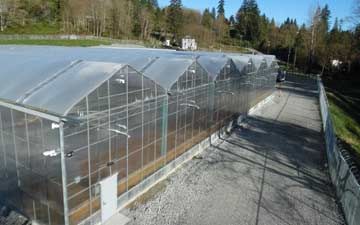 Gutter Connected Greenhouses