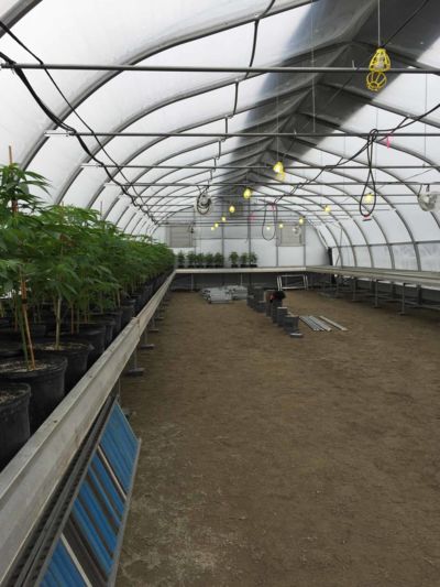 horticultural-greenhouse.JPG