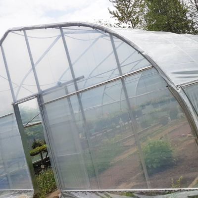 greenhouse-with-hanging-baskets.jpg