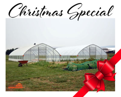 christmas-special-01.jpg