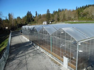 connected-greenhouses-fraser-valley.jpg